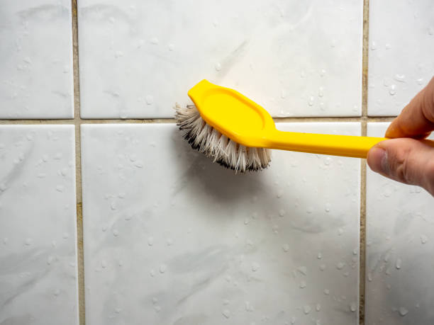 Best Residential Mold Removal  in Armonk, NY
